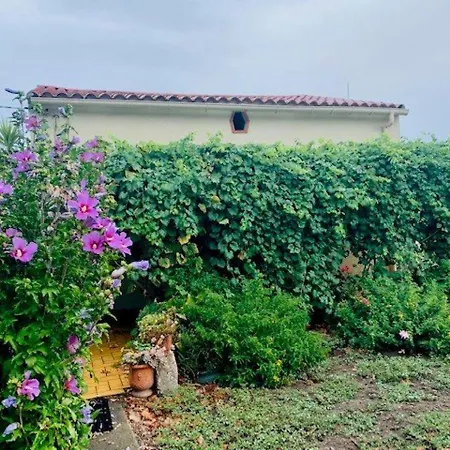 Maison F3 A Avec Jardin, Terrasses Et Climatisation, Proche Centre-ville - Fr-1-703-96