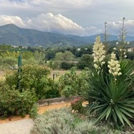 Maison F3 A Avec Jardin, Terrasses Et Climatisation, Proche Centre-ville - Fr-1-703-96 Céret