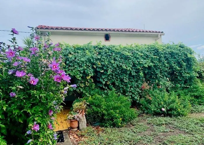 Maison F3 A Avec Jardin, Terrasses Et Climatisation, Proche Centre-ville - Fr-1-703-96