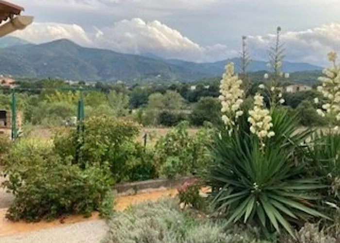 Maison F3 A Avec Jardin, Terrasses Et Climatisation, Proche Centre-ville - Fr-1-703-96 Ceret