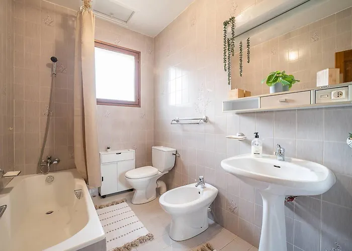 Maison F3 A Avec Jardin, Terrasses Et Climatisation, Proche Centre-ville - Fr-1-703-96 Ceret